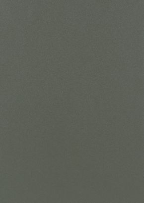 RENOLIT EXOFOL MX QUARTZ GREY 7039 SMOOTH 2 